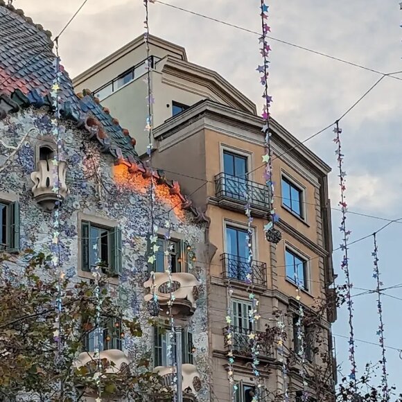 Meet your Posher, Eli - Picture 1 of 1